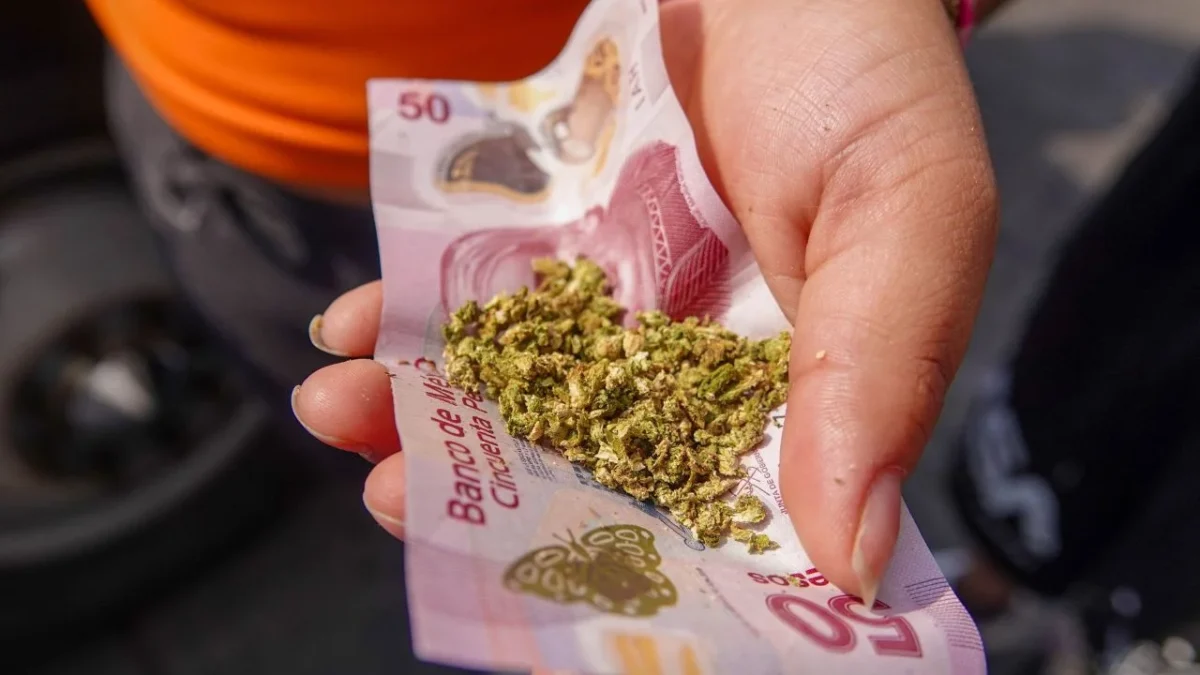 Exige a México elevar combate frontal contra los cárteles, pero en 24 estados y el Distrito de Columbia permite la mariguana recreativa