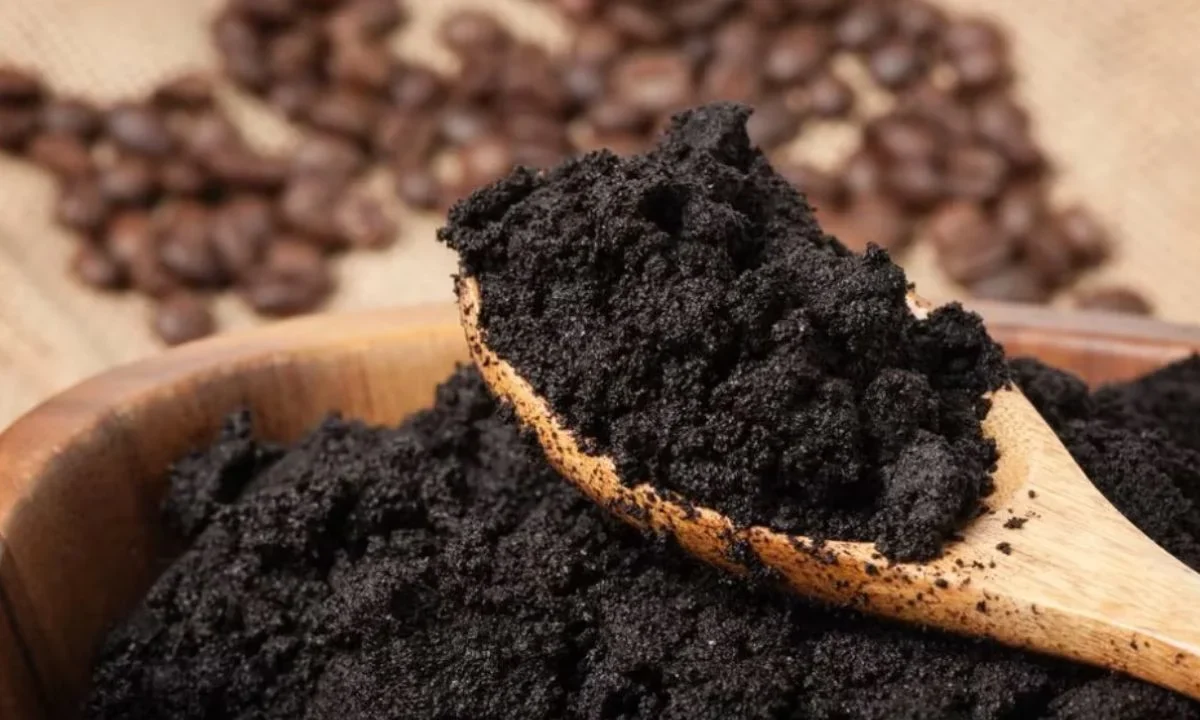Borra de café
