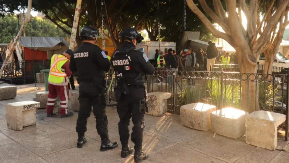 Retiran campamento cannábico en Metro Hidalgo