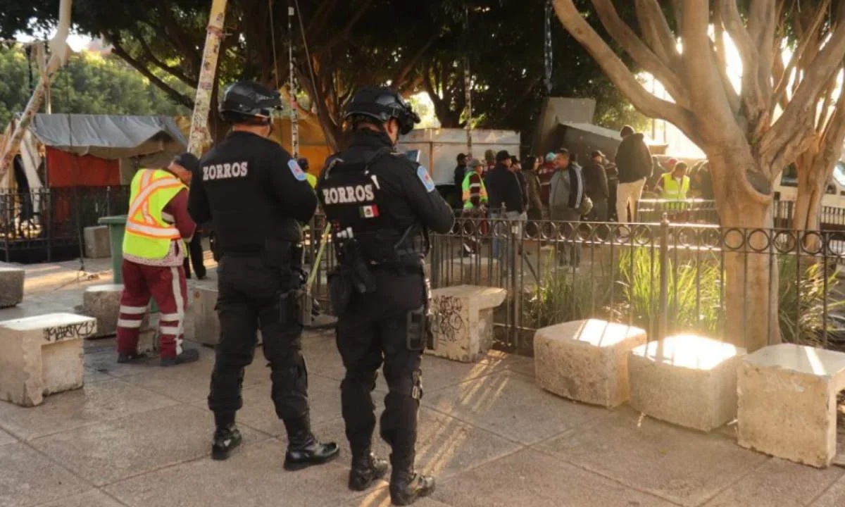 Retiran campamento cannábico en Metro Hidalgo