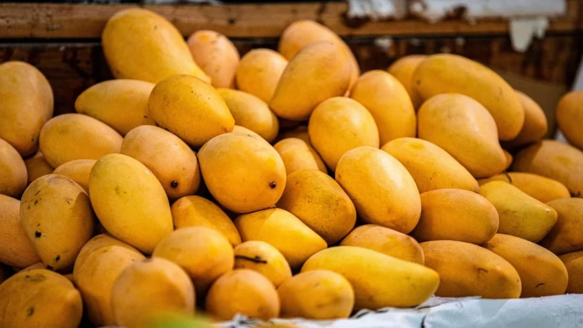 El mango es una fuente importante de vitaminas A y C, además de potasio, fósforo, cobre y fibra