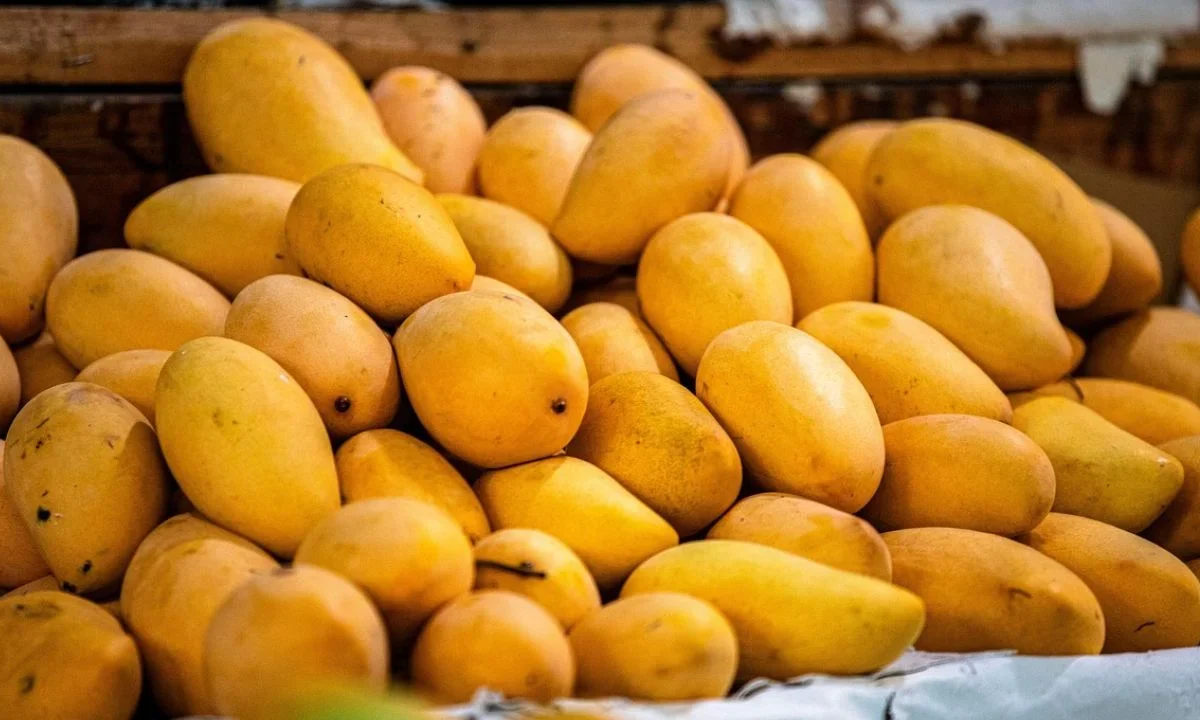 El mango es una fuente importante de vitaminas A y C, además de potasio, fósforo, cobre y fibra
