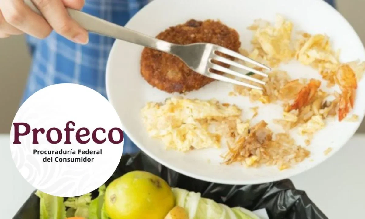 En el Día Internacional de Concienciación sobre la Pérdida de Alimentos, Profeco ofrece consejos para almacenar, reutilizar y donar alimentos.