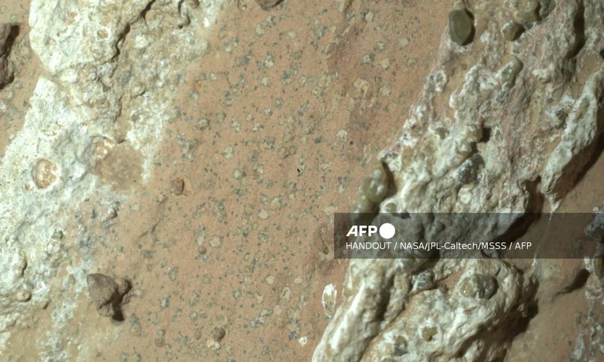 Rocas halladas en Marte por la NASA darían indicios de vida antigua