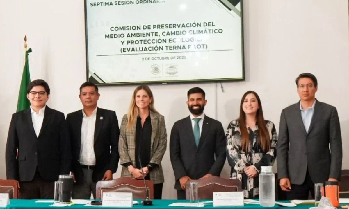 Llamado. Legisladores exhortaron a quienes conforman la terna a cumplir los principios de cero corrupción, eficiencia en los procesos, perspectiva de género y autonomía interinstitucional.