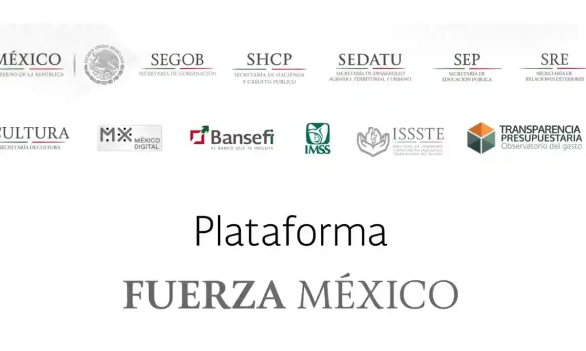 Plataforma 'Fuerza México'