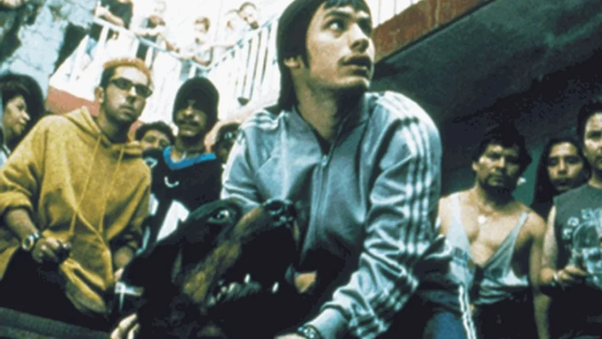 Amores perros