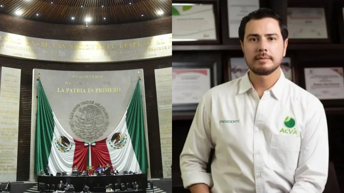 Diputados exigieron justicia para Bernardo Bravo, líder limonero de Michoacán, asesinado por el crimen organizado.