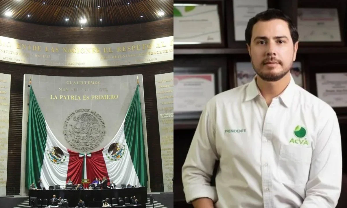 Diputados exigieron justicia para Bernardo Bravo, líder limonero de Michoacán, asesinado por el crimen organizado.
