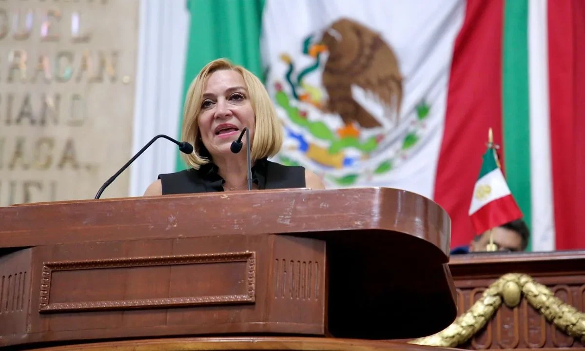 Olivia Garza, PAN CDMX