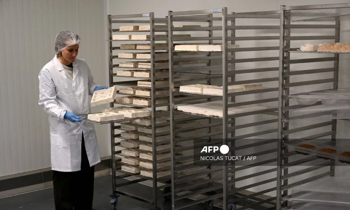 COFEPRIS publica en el DOF acuerdo para simplificar trámites en materia de químicos