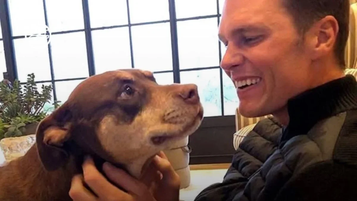 Tom Brady confesó que su perro Junie, actual mascota, es el clon de Lua, su perrita que falleció en 2023.