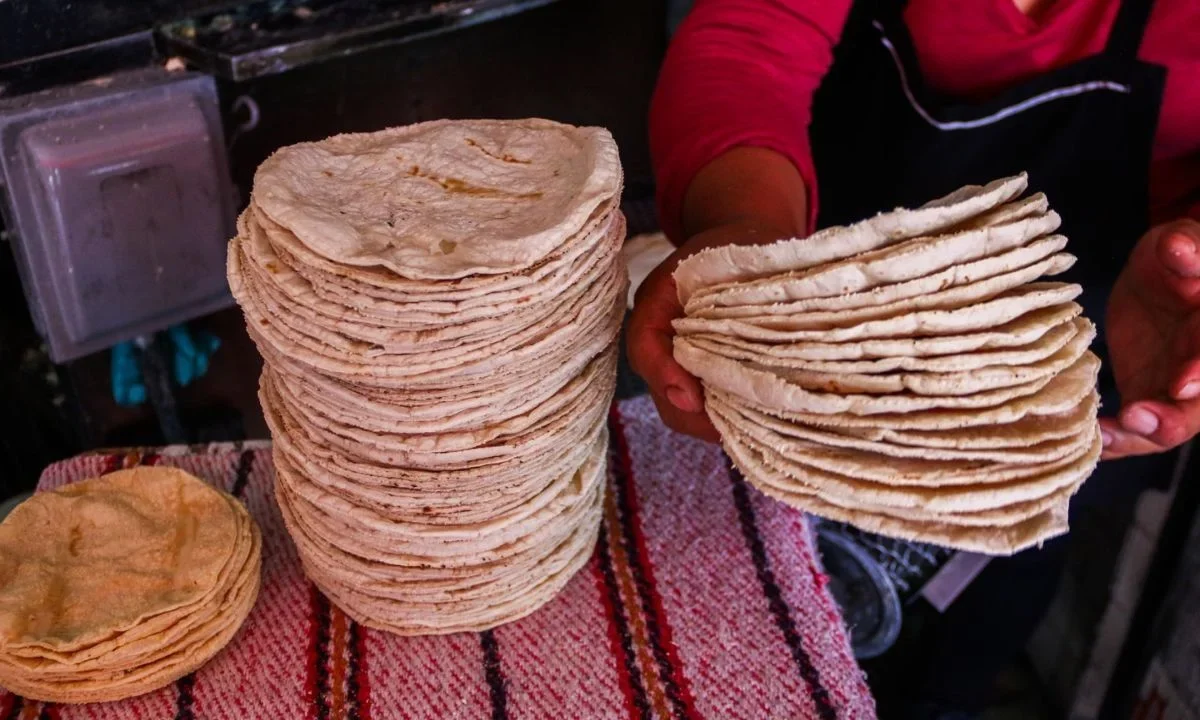 Conoce las principales diferencias entre las tortillas elaboradas en los supermercados y en las tortillerías tradicionales y elige mejor.