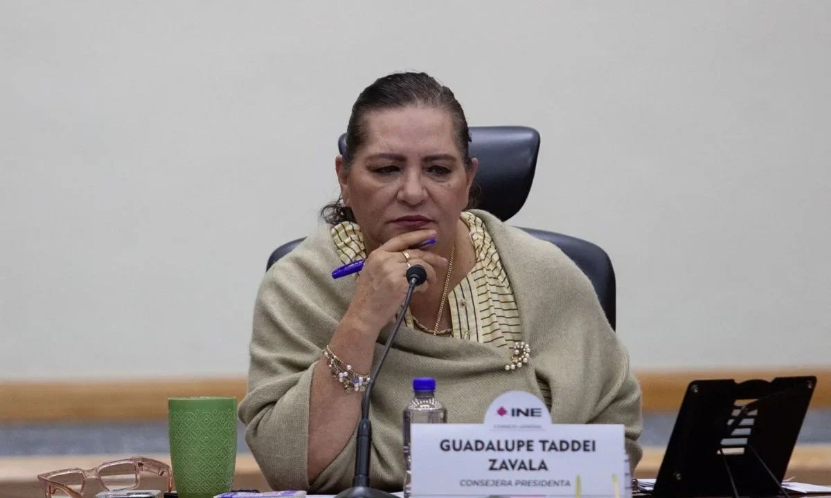 Guadalupe Taddei asevera que el sistema electoral si funciona