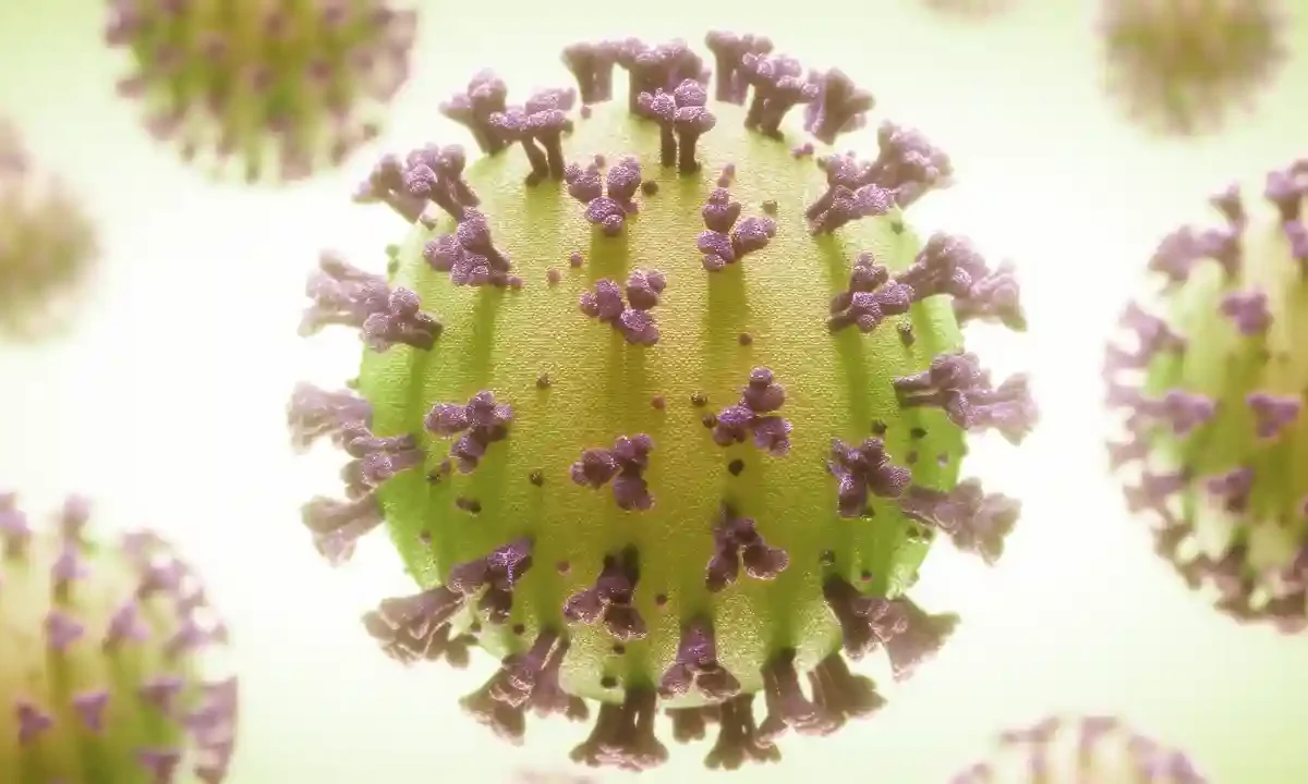 influenza virus A H3N2 subclado K
