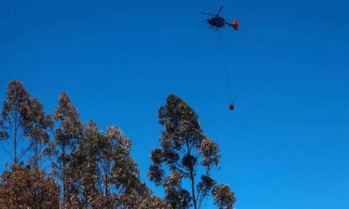 Brigadistas mexicanos trabajan en contención de incendios forestales de Chile