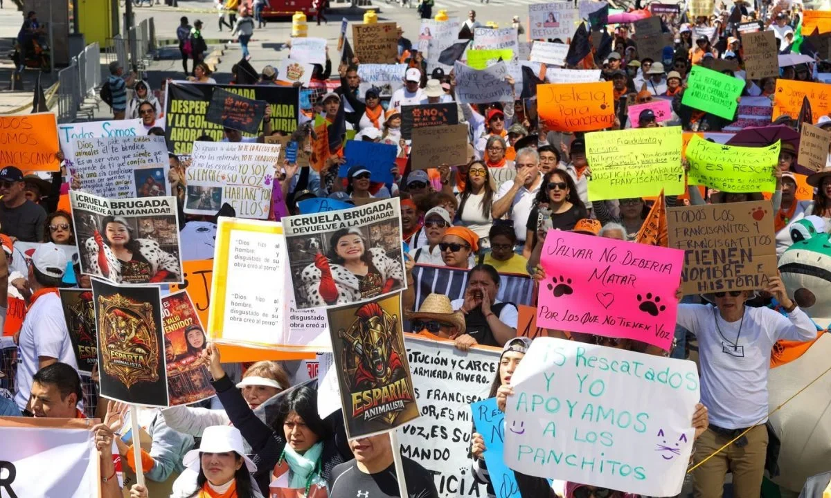 GobCDMX valora seguir con reuniones tras marcha de Refugio Franciscano