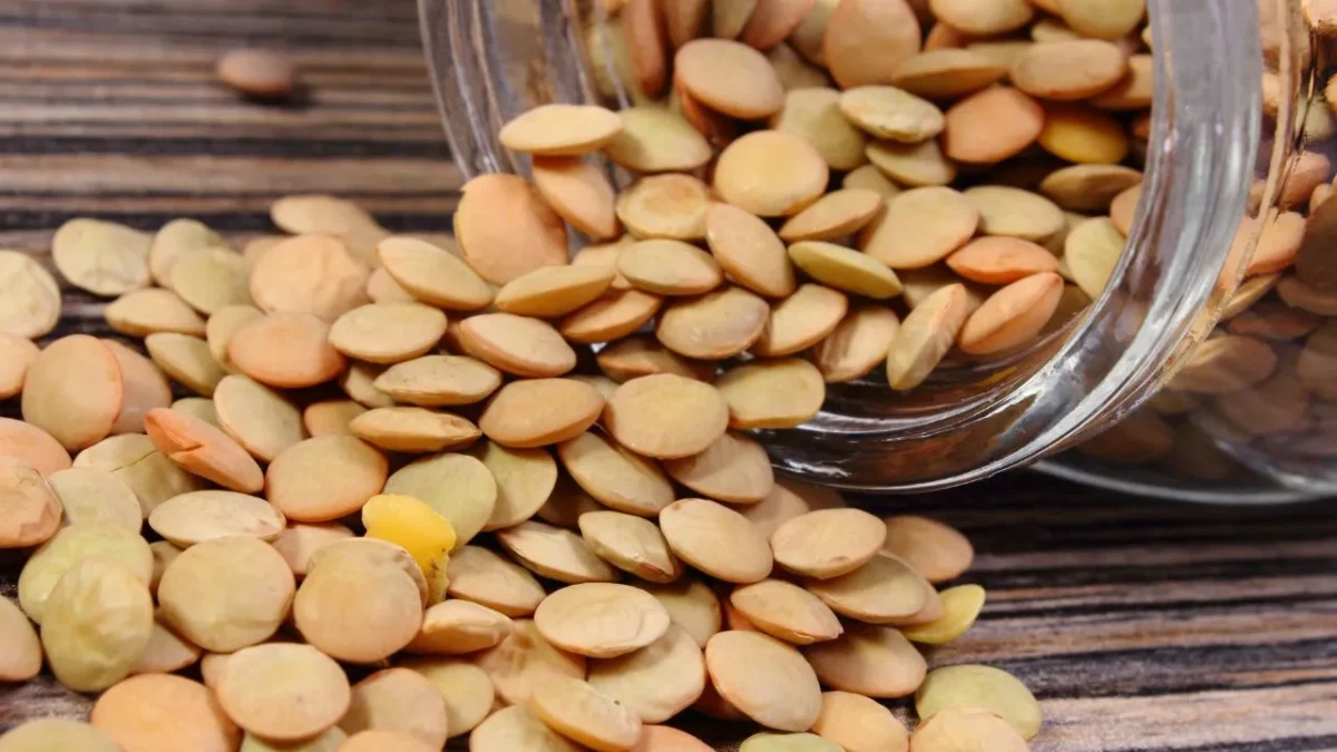 Proteínas lentejas