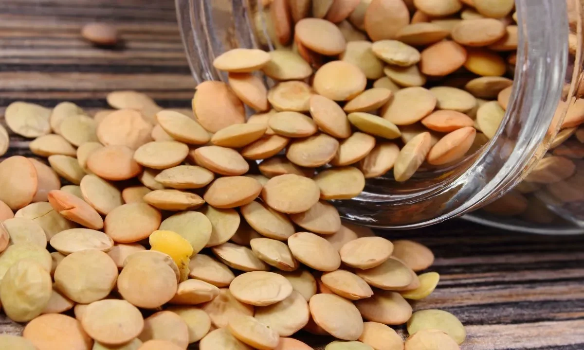 Proteínas lentejas