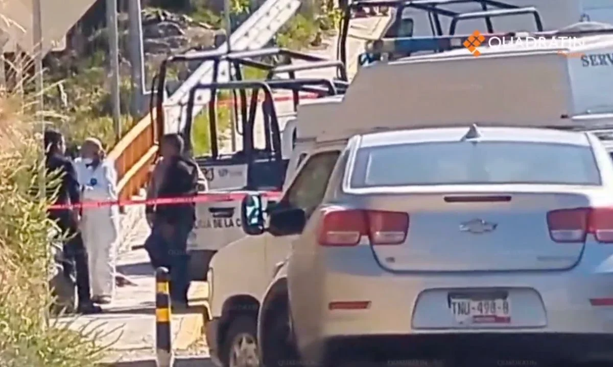 Vecinos de San Miguel Espejo reportaron al 911 dos bolsas de plástico que eran mordidas por fauna canina y que contenían restos humanos.