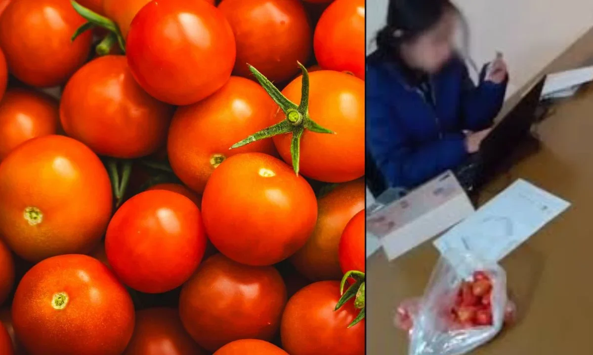 La coacción del sufragio exhibido en el video de #LordJitomates “no es compatible con los principios programa y lineamientos de asambleas”.