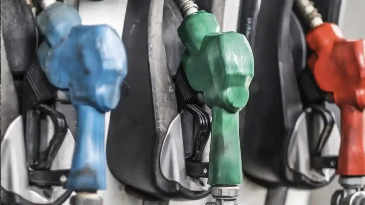 materias primas