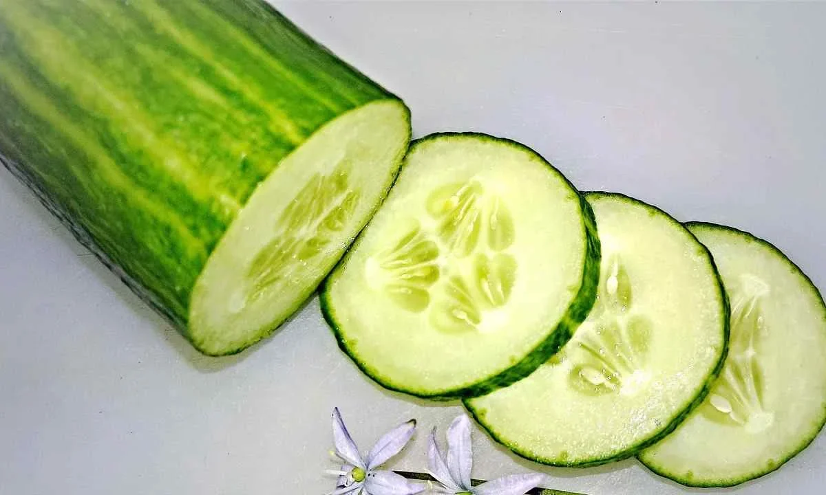 La Profeco aconsejó a la ciudadanía la ingesta de pepino, un alimento hidratante y bajo en calorías.