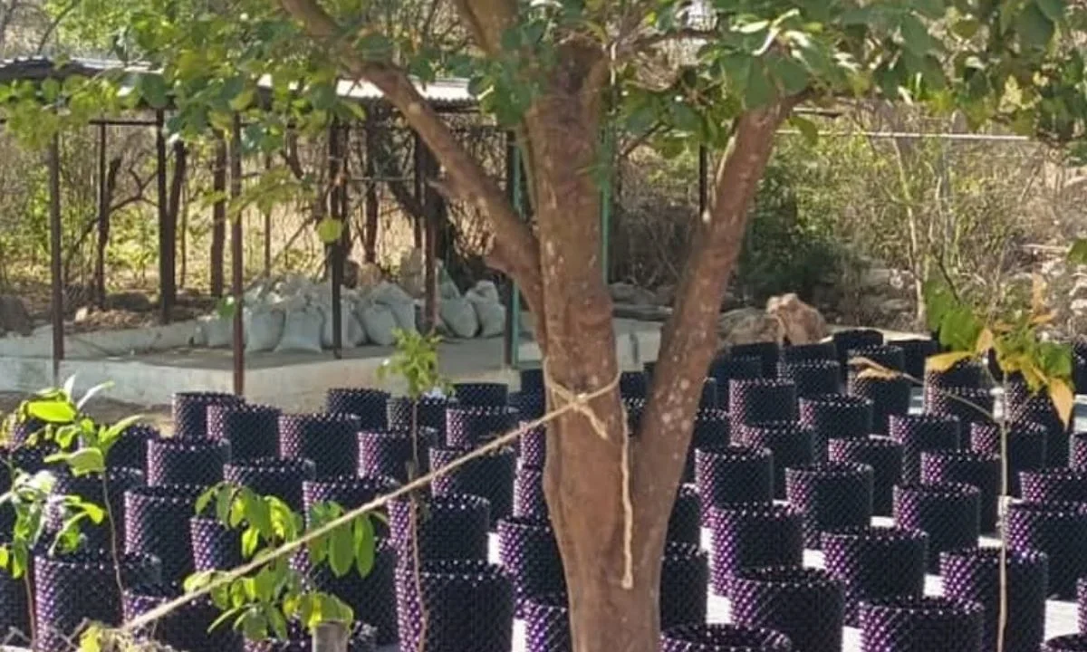 Mérida impulsa protección y mejora de áreas verdes