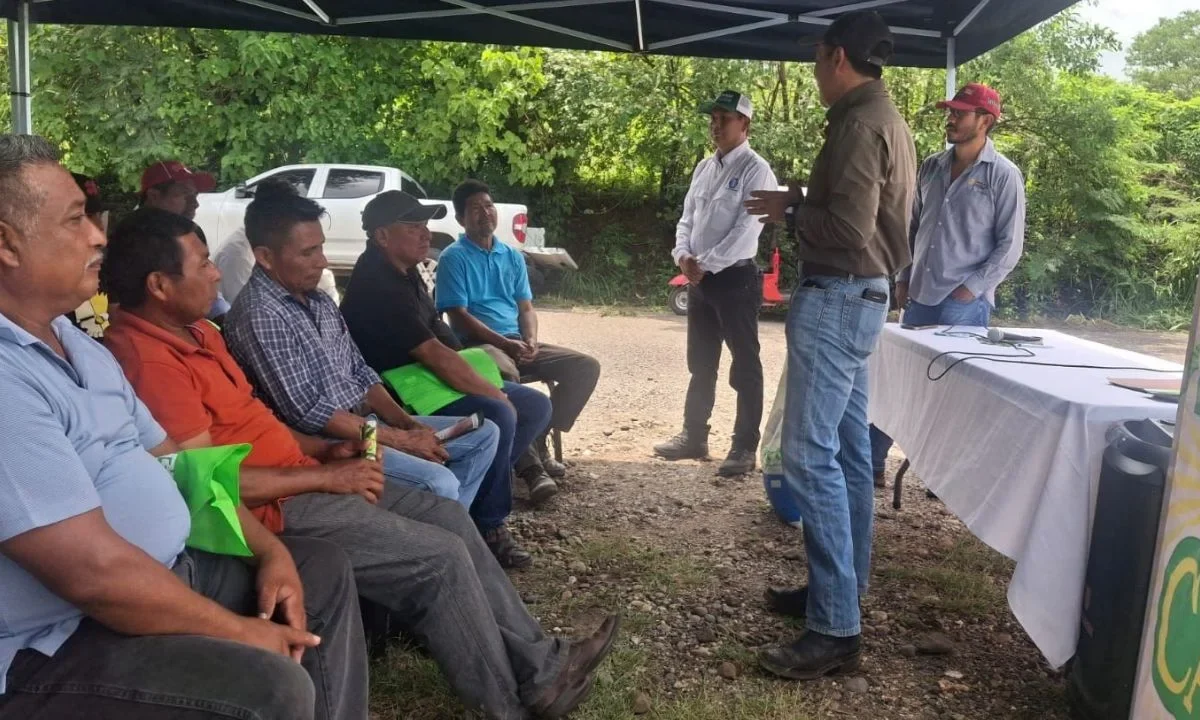 Gruma impulsó a 858 pequeños y medianos productores de maíz de todo el país con 1,696 horas de capacitación para elevar la productividad en cosechas.