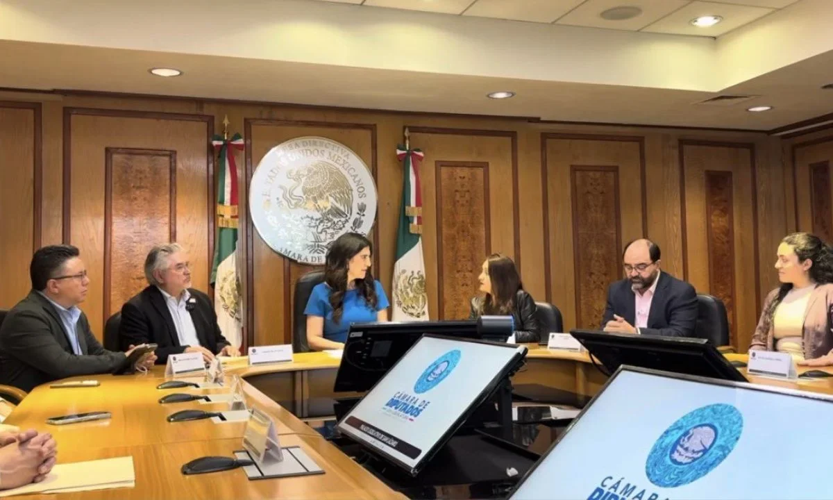 Exconsejeros electorales que forman parte de la organización Somos México entregaron su propuesta de reforma electoral a Kenia López Rabadán.