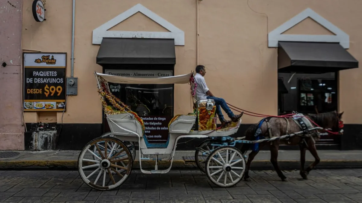 En Mérida, la violencia parece no trastocar la rutina diaria de los habitantes ni de quienes visitan esta tierra del sureste.