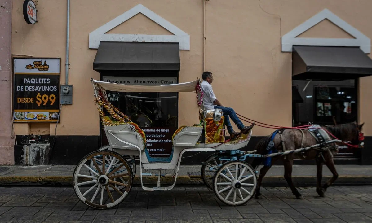 En Mérida, la violencia parece no trastocar la rutina diaria de los habitantes ni de quienes visitan esta tierra del sureste.