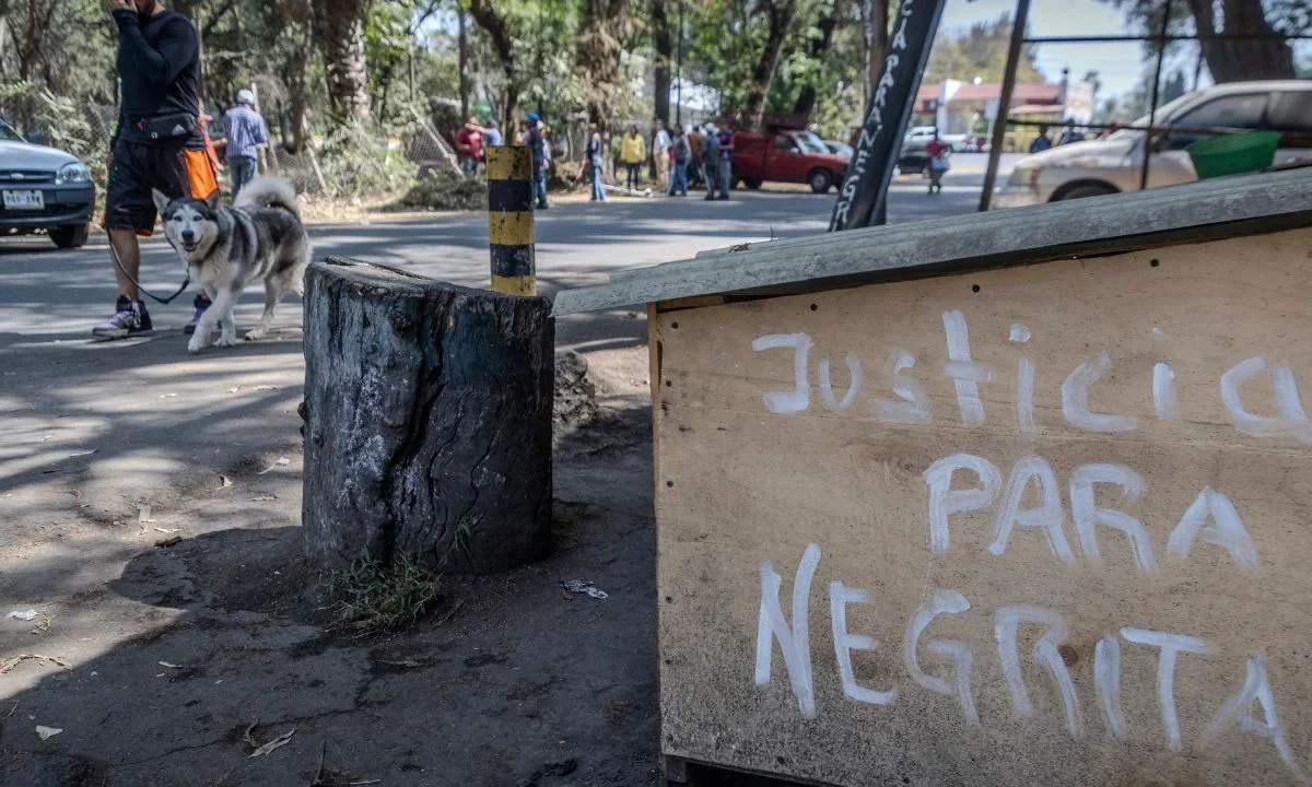 Alerta en Xochimilco, retorna asesino de perros
