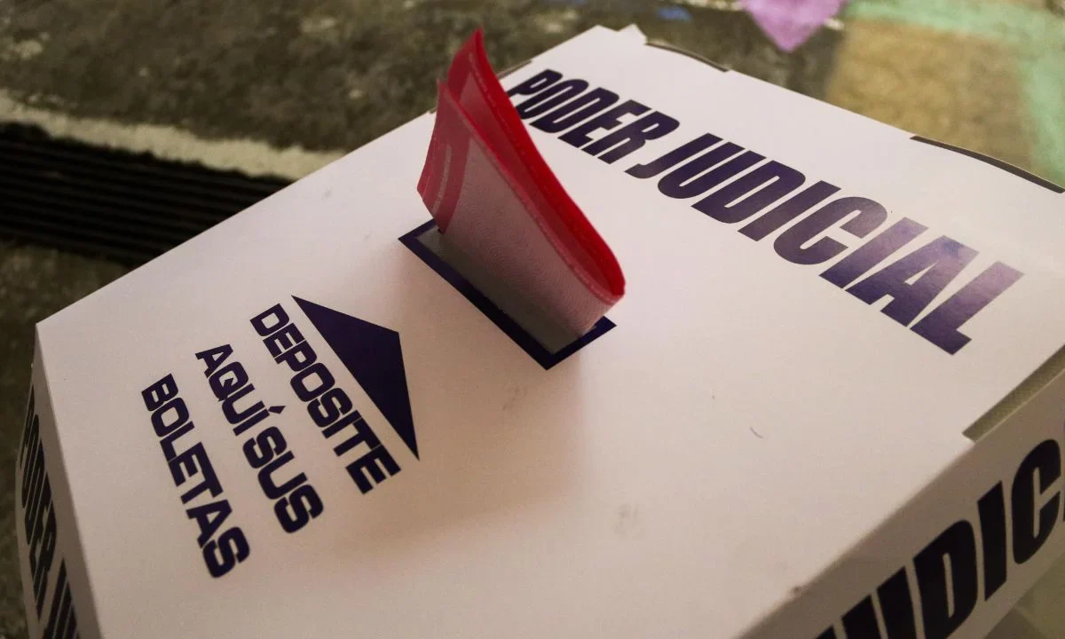 Excandidatos piden a la CIDH revisar irregularidades de la elección judicial