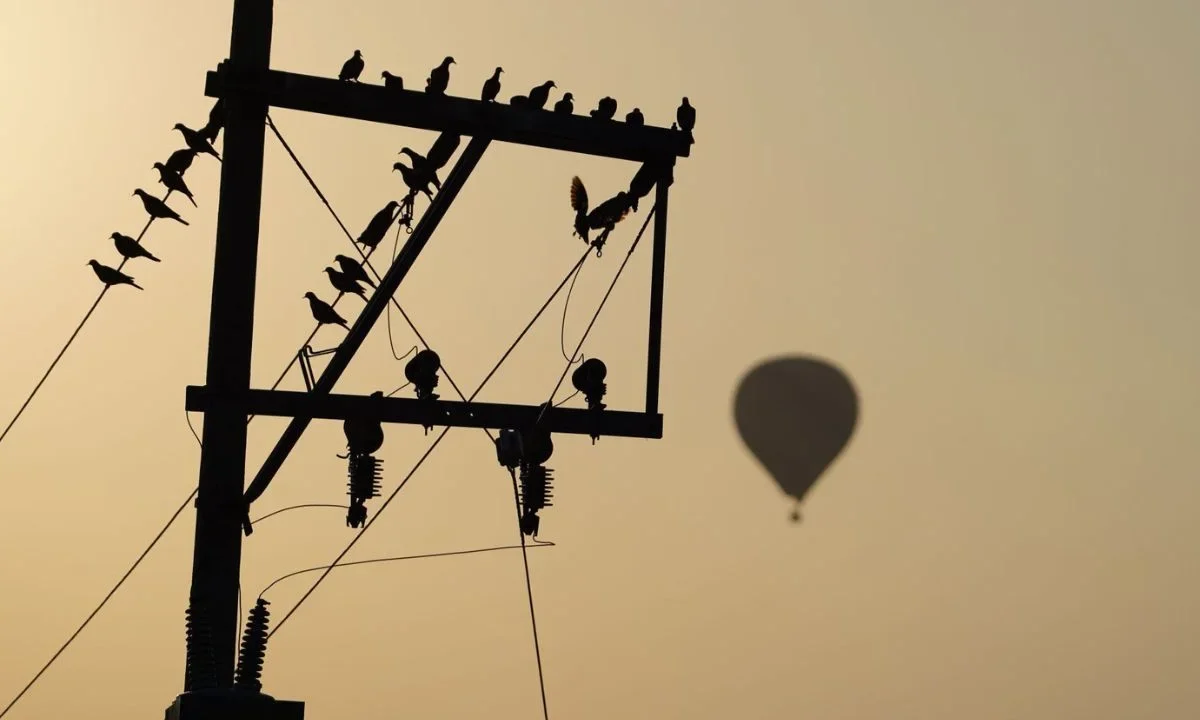 Un globo aerostático impactó contra el cableado eléctrico en Teotihuacán y dejó a 2 turistas heridos quienes presentan quemaduras.