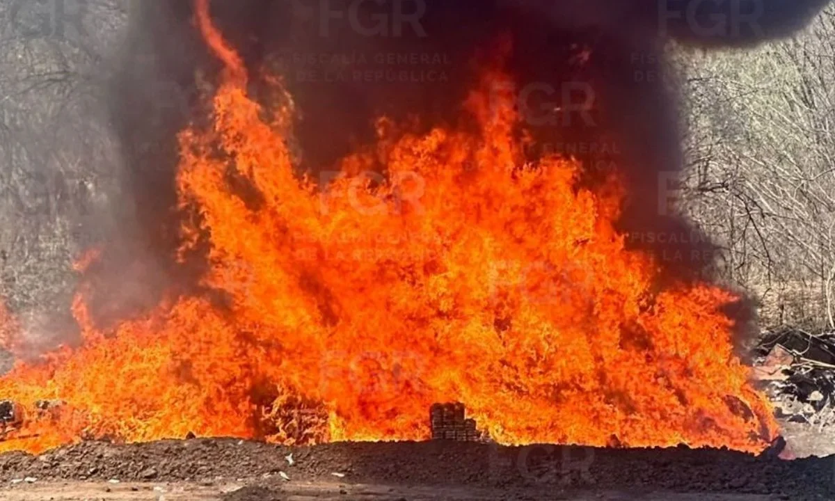 Incineran nueve toneladas de narcóticos en Sinaloa