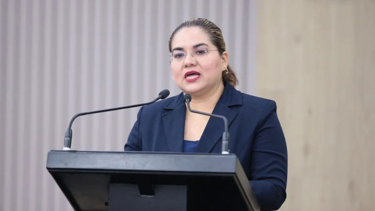 Jovannie Ibarra, diputada del PAN, presentó ante el Congreso de Chiapas una iniciativa que busca tipificar 'terror social' en la entidad.