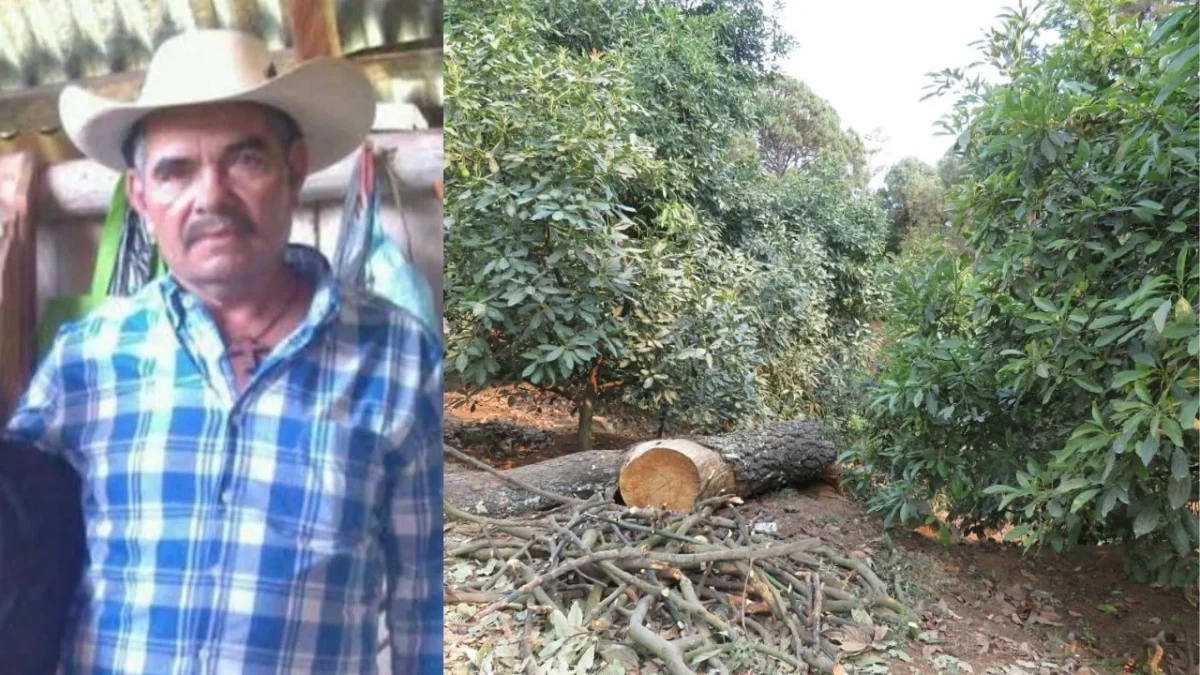 La zona de Madera, en Michoacán, donde asesinaron a Roberto Chávez, permanece bajo un asedio constante de grupos armados.