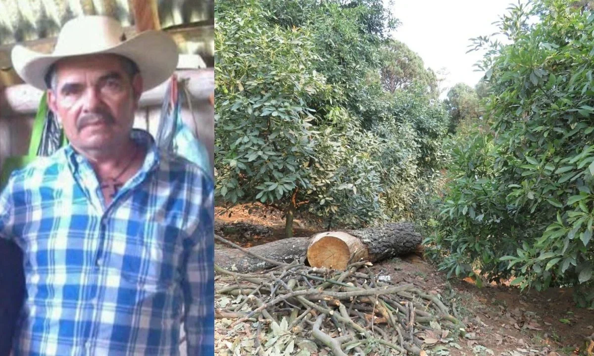 La zona de Madera, en Michoacán, donde asesinaron a Roberto Chávez, permanece bajo un asedio constante de grupos armados.