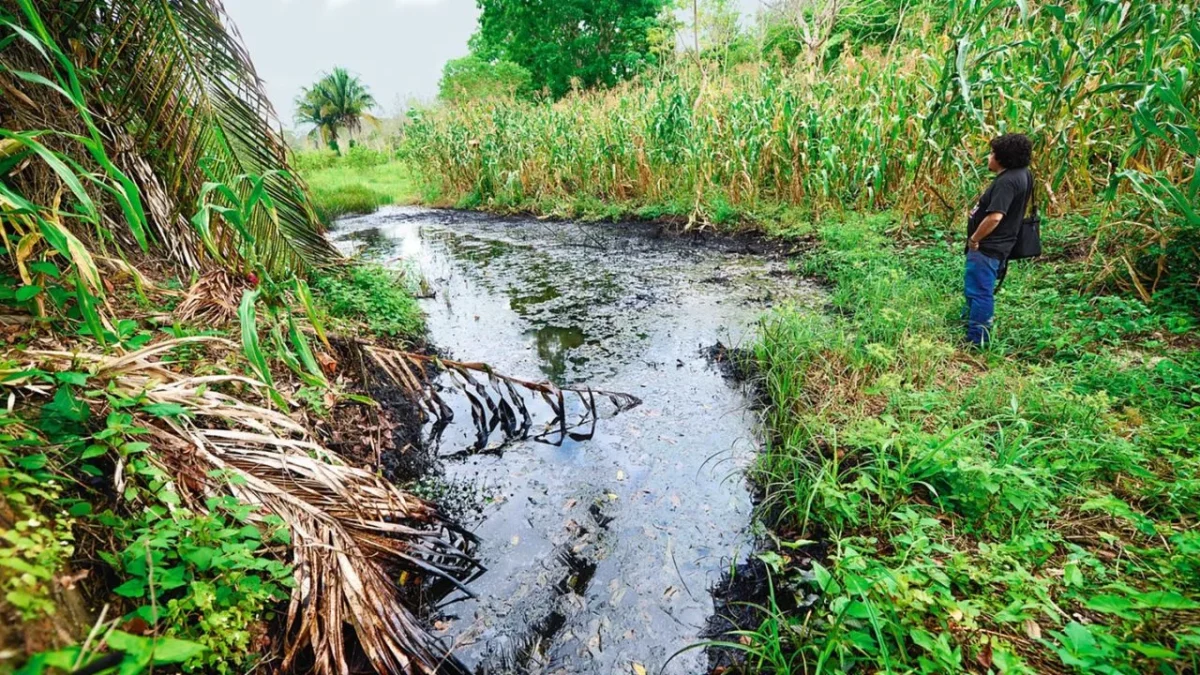 Campesinos de Veracruz han visto morir sus naranjos y limoneros un daño que atribuyen al fracking para extraer gas natural.