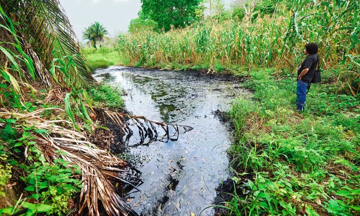 Campesinos de Veracruz han visto morir sus naranjos y limoneros un daño que atribuyen al fracking para extraer gas natural.
