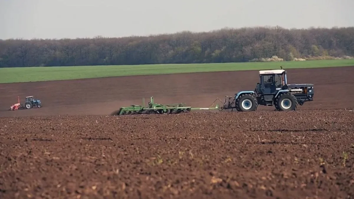 La cal se ha consolidado como un aliado de la agricultura, contribuye a mejorar la fertilidad de los suelos y aumentar la productividad.