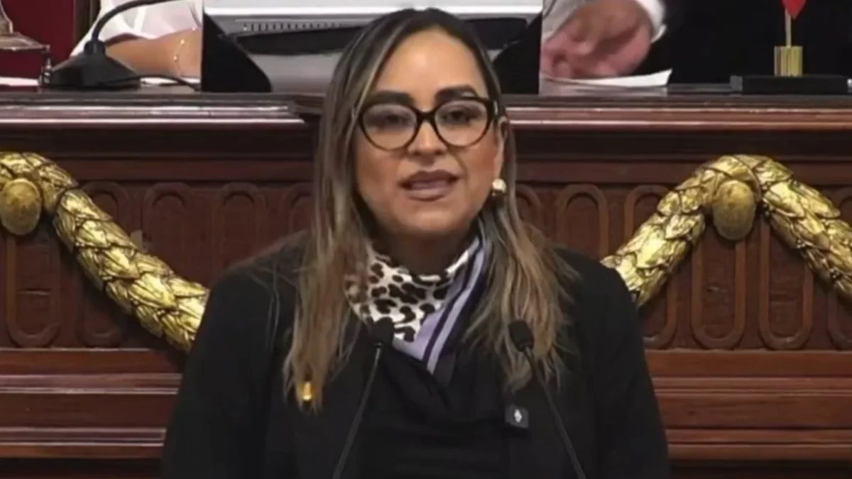 La diputada del PAN, Laura Álvarez, afirmó que la iniciativa busca establecer límites ante contenidos que idolatren el delito.