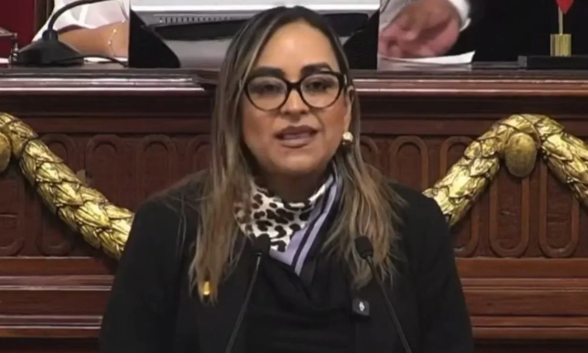 La diputada del PAN, Laura Álvarez, afirmó que la iniciativa busca establecer límites ante contenidos que idolatren el delito.