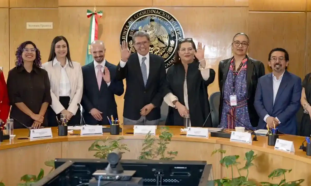 elección judicial Ricardo Monreal INE