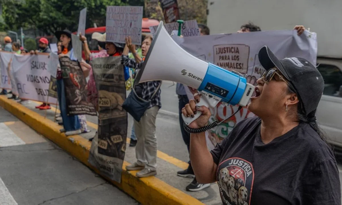 Activistas y representantes del Refugio Franciscano se manifestaron al exterior del Séptimo Juzgado de Distrito Penal.
