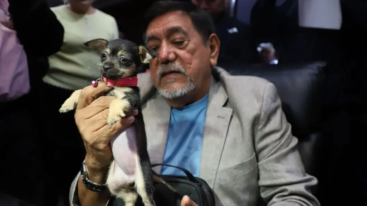 Morena cierra las puertas a Félix Salgado para coordinar Guerrero