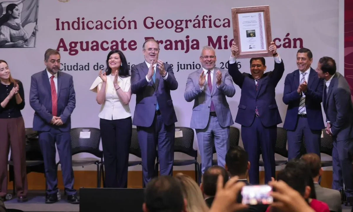 El IMPI otorgó la declaración de Indicación Geográfica (IG) Aguacate Franja Michoacán este martes 23 de junio de 2026.