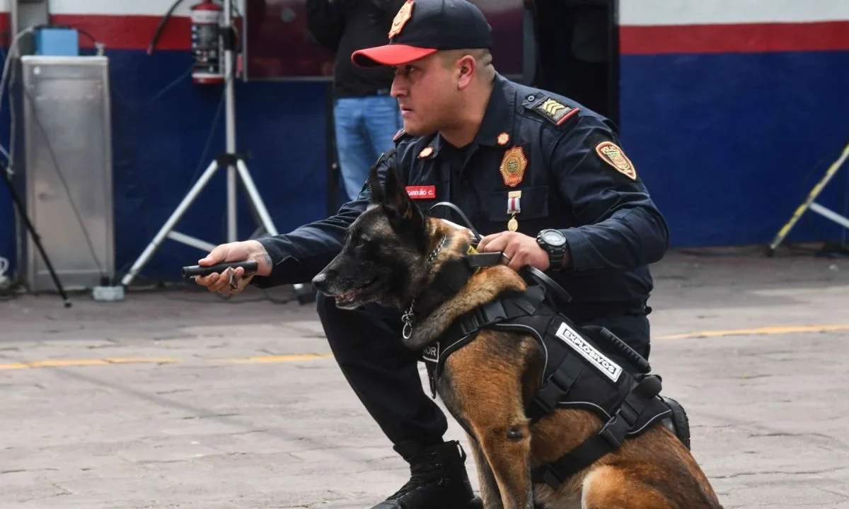 Elementos de la Policía Auxiliar y Policía Bancaria e Industrial (PBI) podrán aplicar multas de tránsito en siete alcaldías de la CDMX.