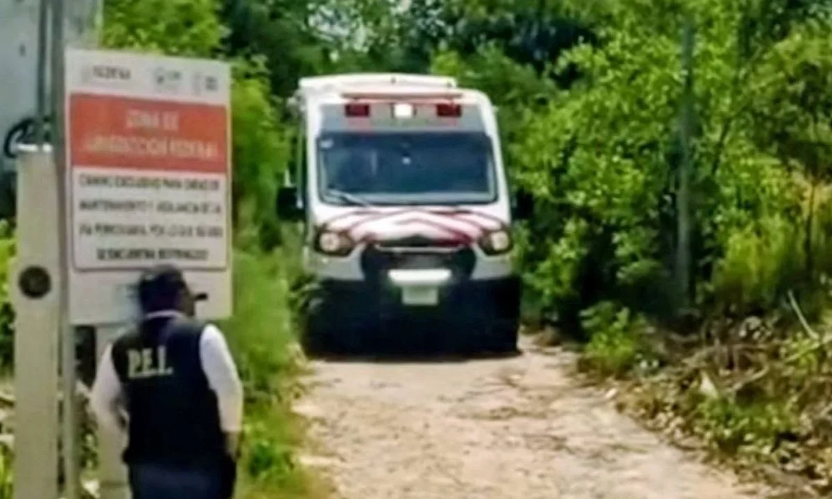 Según los primeros datos, el hombre caminaba sobre las vías del Tren Maya al momento del accidente, registrado en Yucatán.